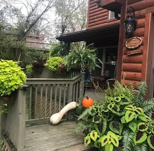 House Perfect For Family Of 10 Дом отдыха
